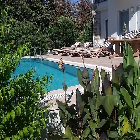 Safran Villa