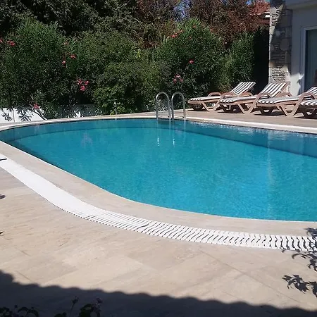 Safran * Dalyan
