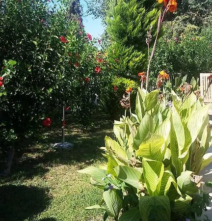 Safran Villa *