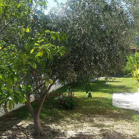 Safran Villa